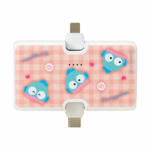 Lightning/Type-C コネクタ付き リチウムイオン充電器