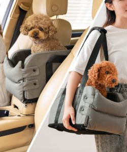 わんちゃんとおでかけ！ 快適ドライブアイテム